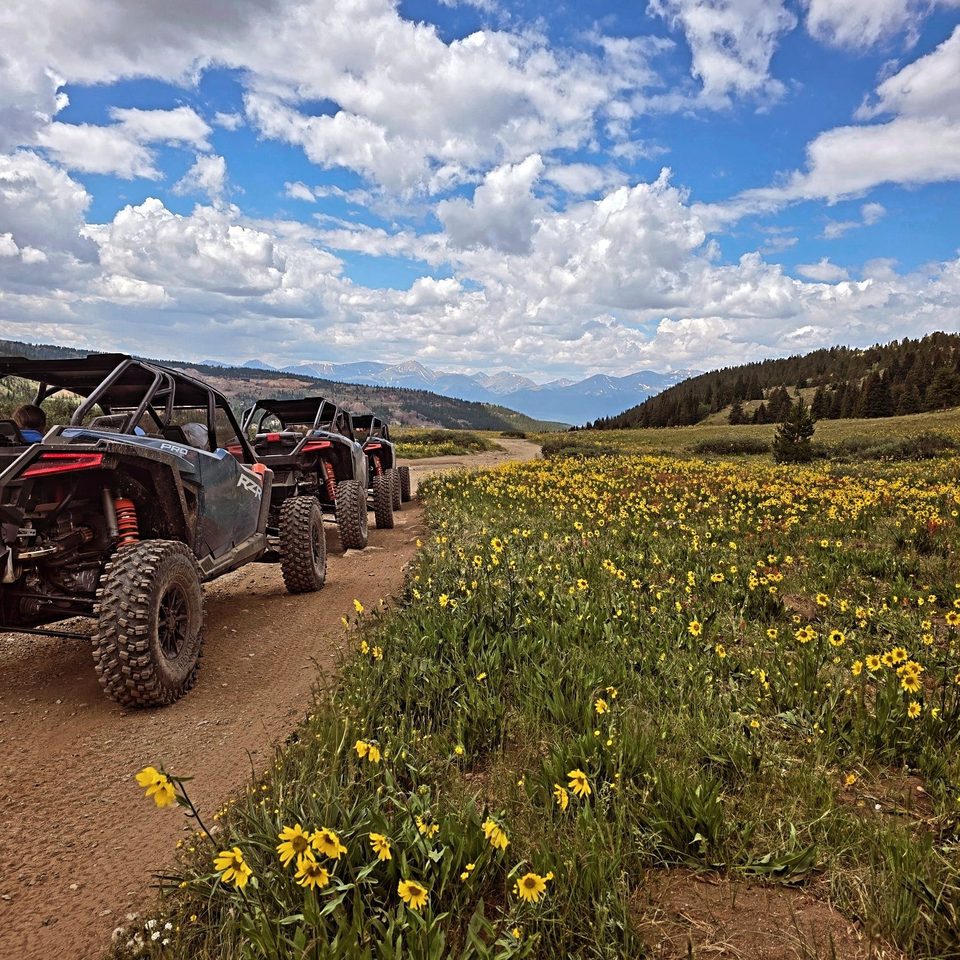 Vehicles on a dirt two-track through a wildflower meadow below the snow-streaked Sawatch Range