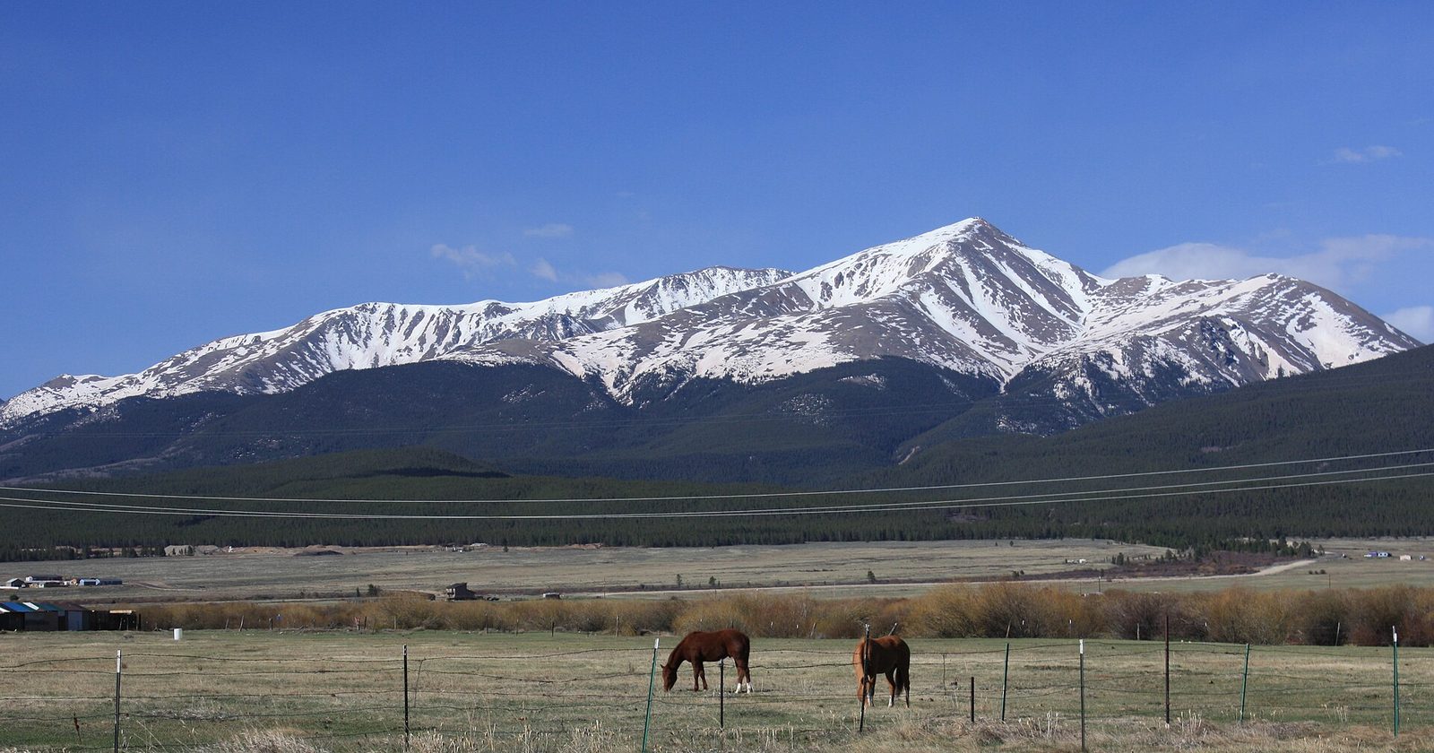 Horses grazing in a pasture below snow-covered Mount Elbert